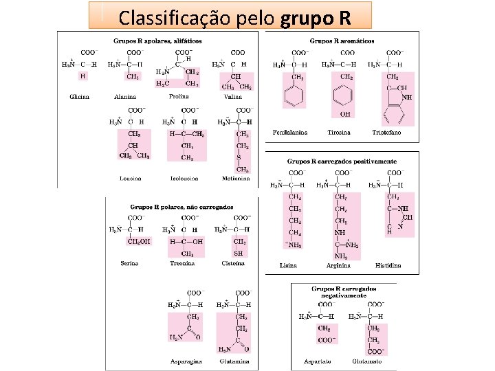 Classificação pelo grupo R 
