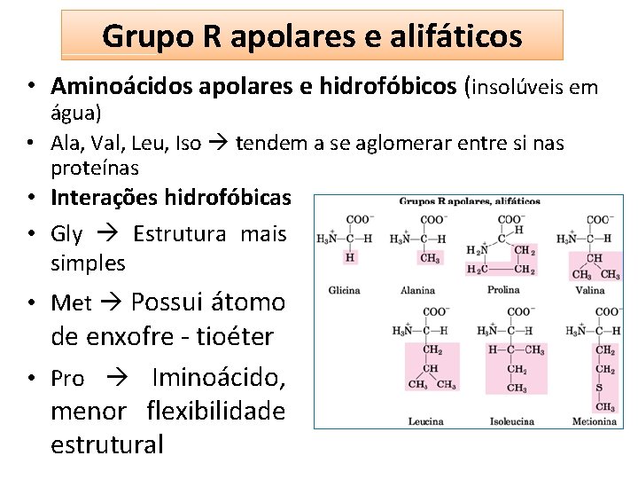 Grupo R apolares e alifáticos • Aminoácidos apolares e hidrofóbicos (insolúveis em água) •