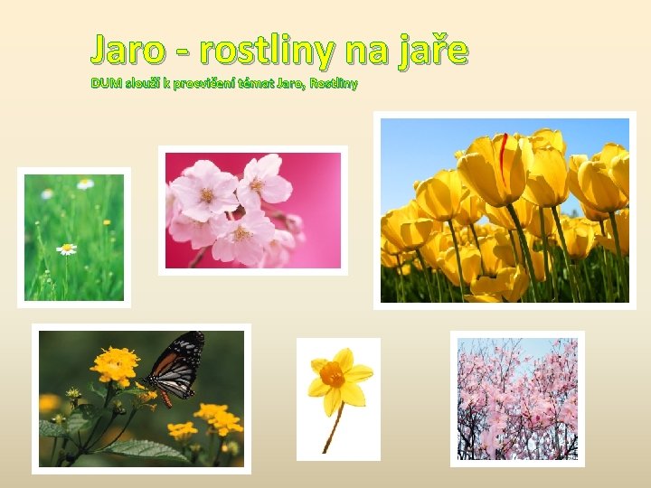 Jaro - rostliny na jaře DUM slouží k procvičení témat Jaro, Rostliny 