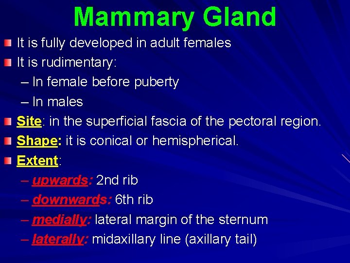 Mammary Gland It is fully developed in adult females It is rudimentary: – In