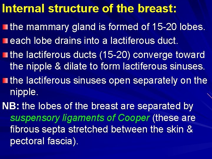 Internal structure of the breast: the mammary gland is formed of 15 -20 lobes.