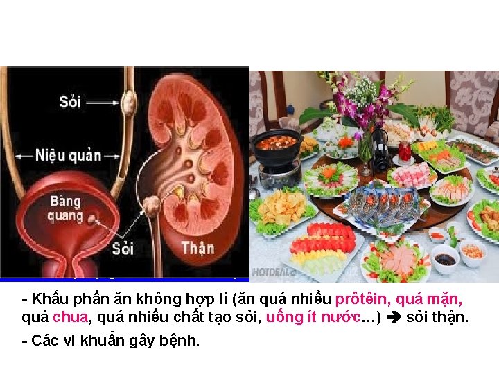 Đọc thông tin và quan sát hình vẽ sau, trả lời câu hỏi dưới