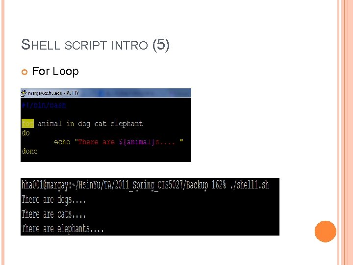 SHELL SCRIPT INTRO (5) For Loop 