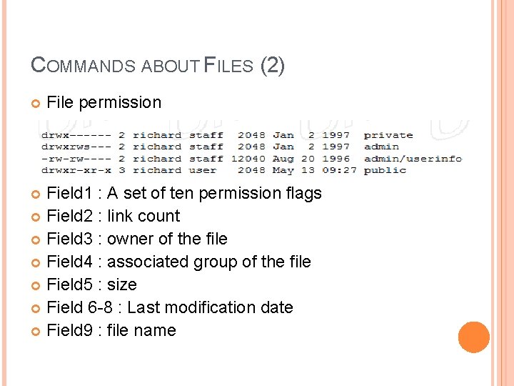 COMMANDS ABOUT FILES (2) File permission Field 1 : A set of ten permission