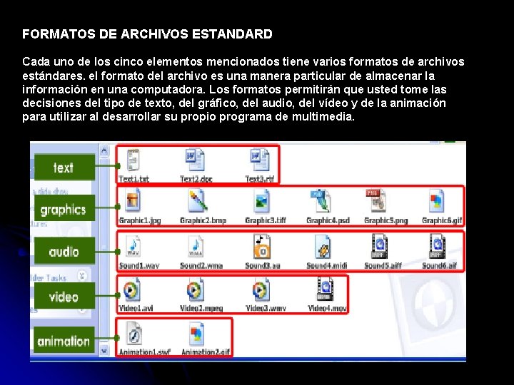 FORMATOS DE ARCHIVOS ESTANDARD Cada uno de los cinco elementos mencionados tiene varios formatos