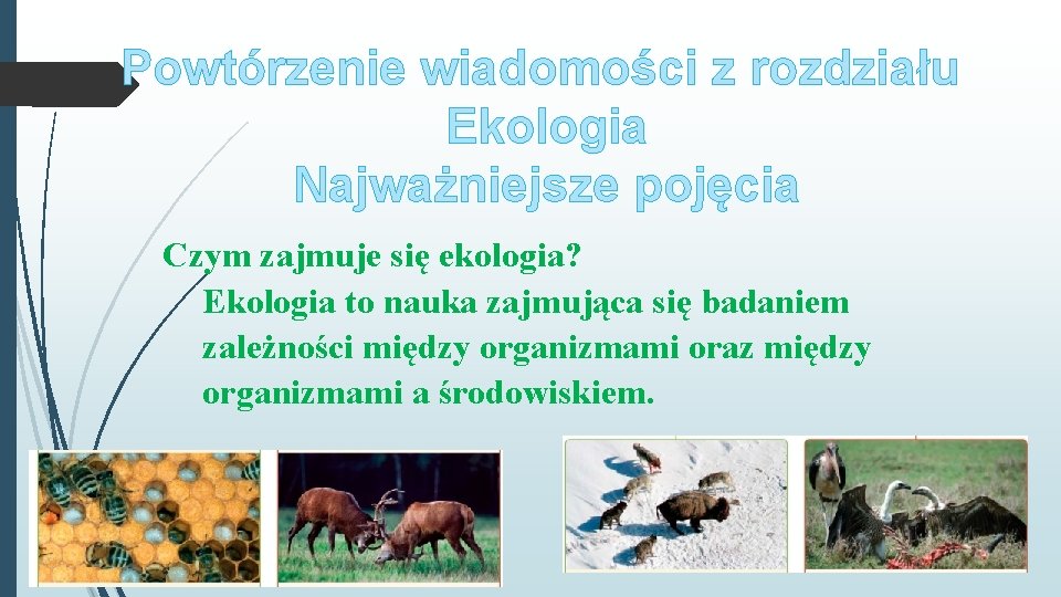 Powtrzenie wiadomoci z rozdziau Ekologia Najwaniejsze pojcia Czym