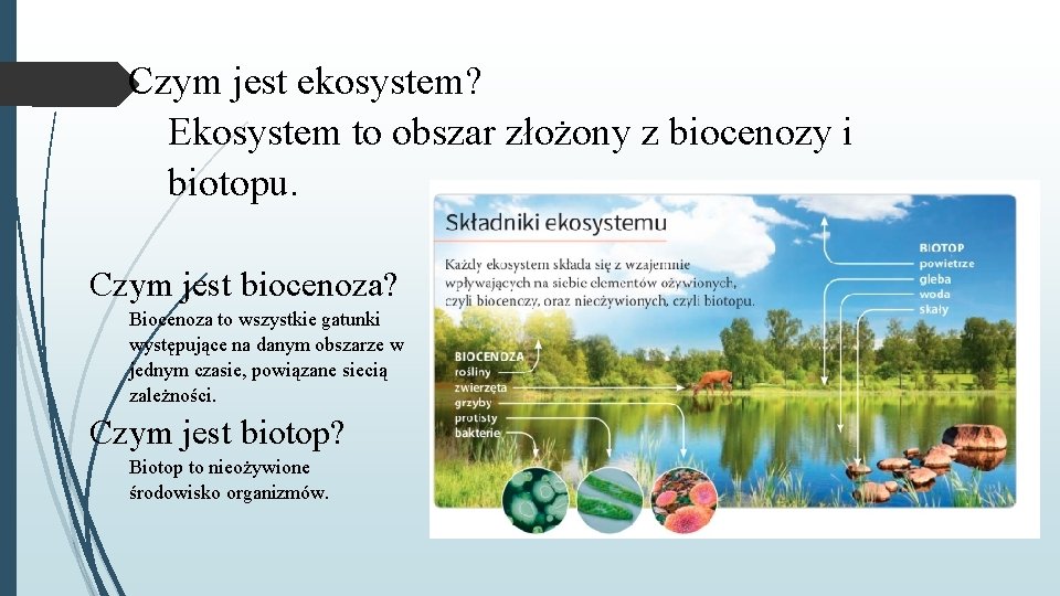 Powtrzenie wiadomoci z rozdziau Ekologia Najwaniejsze pojcia Czym