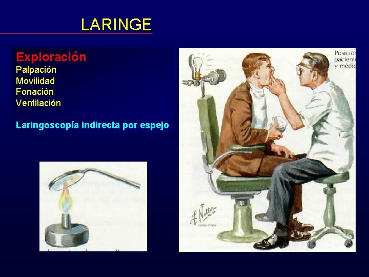 LARINGE Exploración Palpación Movilidad Fonación Ventilación Laringoscopía indirecta por espejo 