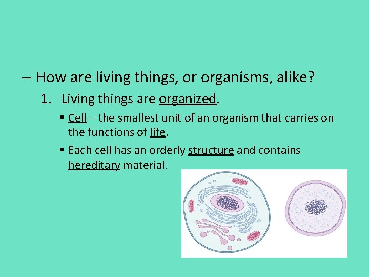 - How are living things, or organisms, alike? 1. Living things are organized. §