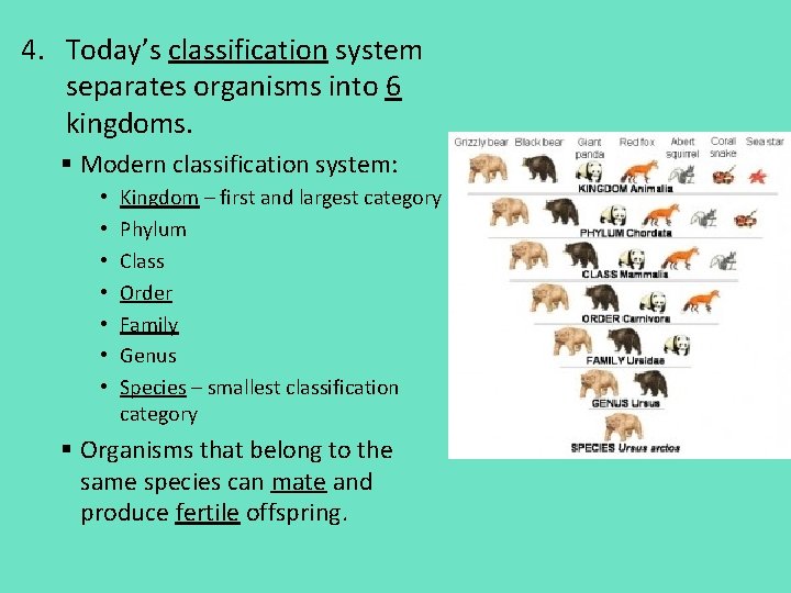 4. Today’s classification system separates organisms into 6 kingdoms. § Modern classification system: •
