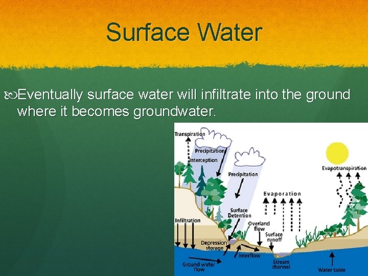 Surface Water Eventually surface water will infiltrate into the ground where it becomes groundwater.