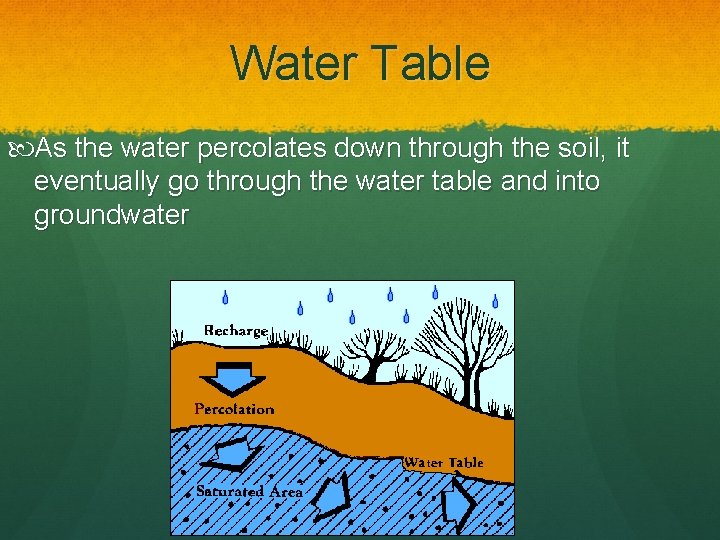 Water Table As the water percolates down through the soil, it eventually go through
