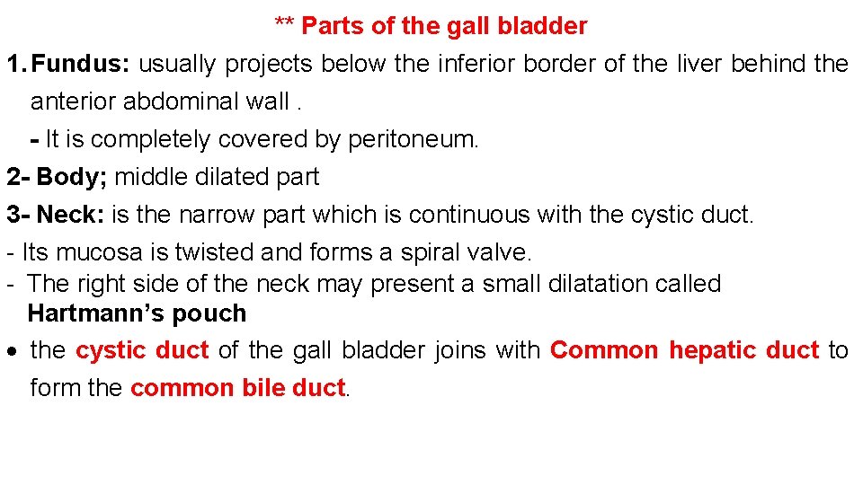 ** Parts of the gall bladder 1. Fundus: usually projects below the inferior border