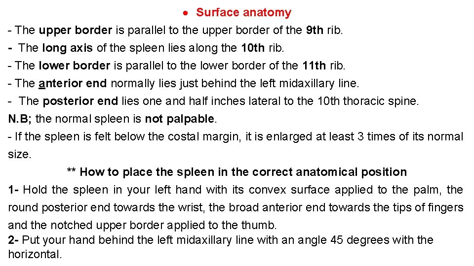  Surface anatomy - The upper border is parallel to the upper border of