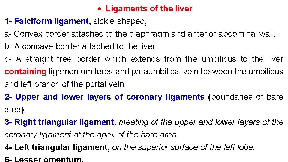  Ligaments of the liver 1 - Falciform ligament, sickle-shaped, a- Convex border attached