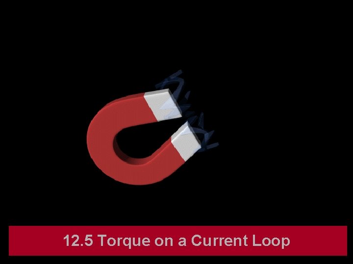 12. 5 Torque on a Current Loop 
