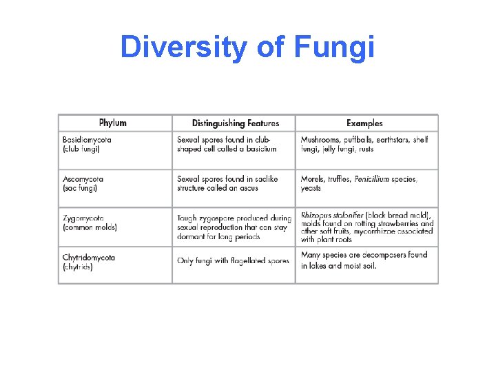 Diversity of Fungi 