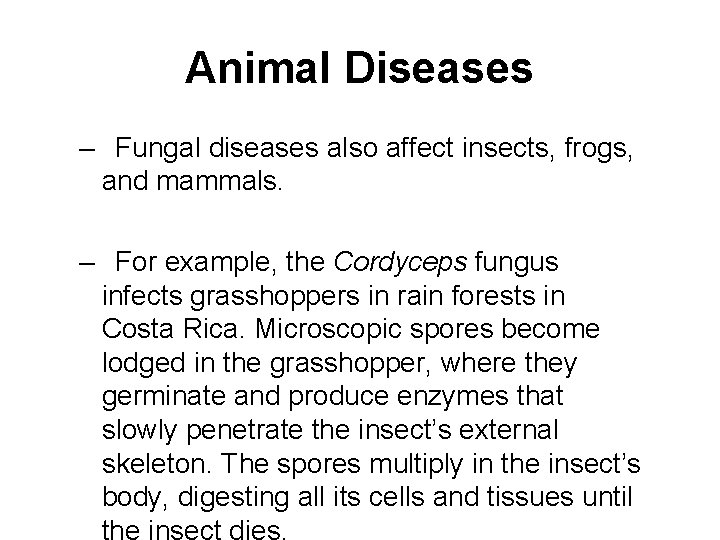 Animal Diseases – Fungal diseases also affect insects, frogs, and mammals. – For example,