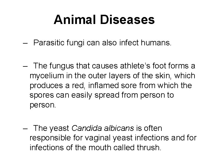 Animal Diseases – Parasitic fungi can also infect humans. – The fungus that causes