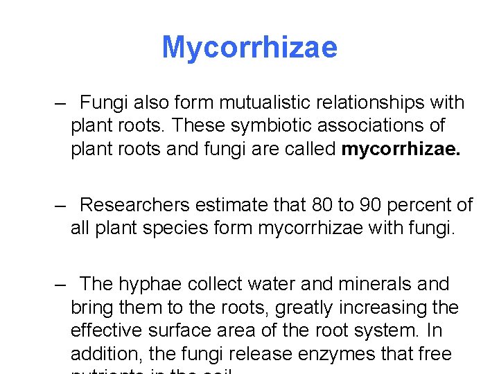 Mycorrhizae – Fungi also form mutualistic relationships with plant roots. These symbiotic associations of