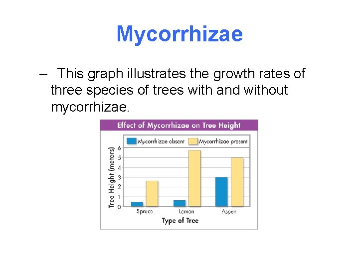 Mycorrhizae – This graph illustrates the growth rates of three species of trees with
