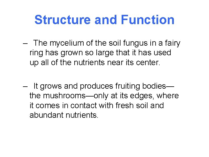 Structure and Function – The mycelium of the soil fungus in a fairy ring