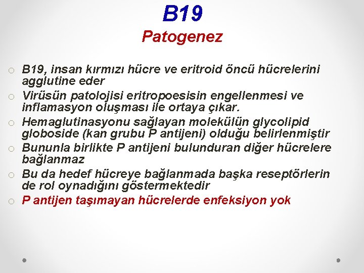 B 19 Patogenez o B 19, insan kırmızı hücre ve eritroid öncü hücrelerini agglutine