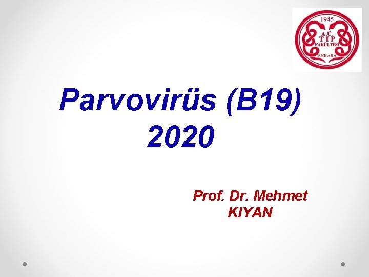 Parvovirüs (B 19) 2020 Prof. Dr. Mehmet KIYAN 