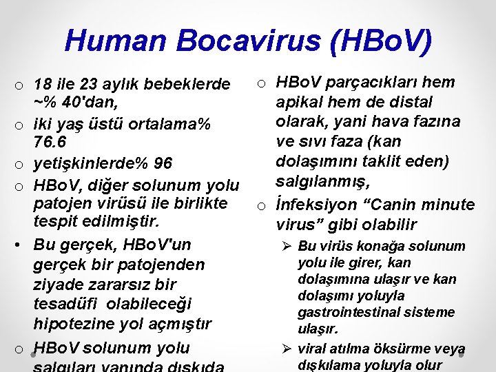 Human Bocavirus (HBo. V) o 18 ile 23 aylık bebeklerde ~% 40'dan, o iki