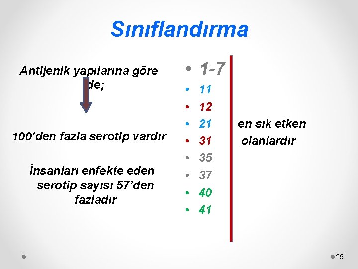 Sınıflandırma Antijenik yapılarına göre de; 100’den fazla serotip vardır İnsanları enfekte eden serotip sayısı