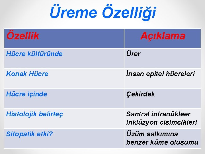 Üreme Özelliği Özellik Açıklama Hücre kültüründe Ürer Konak Hücre İnsan epitel hücreleri Hücre içinde