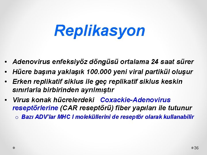 Replikasyon • Adenovirus enfeksiyöz döngüsü ortalama 24 saat sürer • Hücre başına yaklaşık 100.