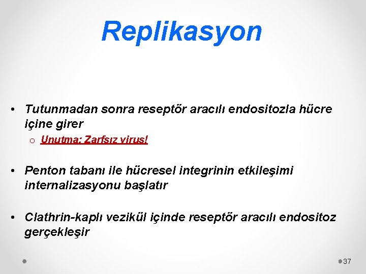 Replikasyon • Tutunmadan sonra reseptör aracılı endositozla hücre içine girer o Unutma: Zarfsız virus!