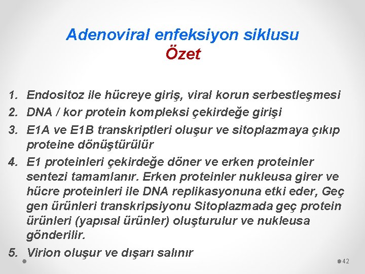 Adenoviral enfeksiyon siklusu Özet 1. Endositoz ile hücreye giriş, viral korun serbestleşmesi 2. DNA