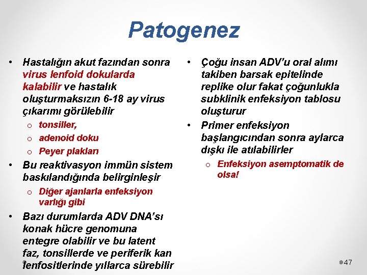 Patogenez • Hastalığın akut fazından sonra virus lenfoid dokularda kalabilir ve hastalık oluşturmaksızın 6