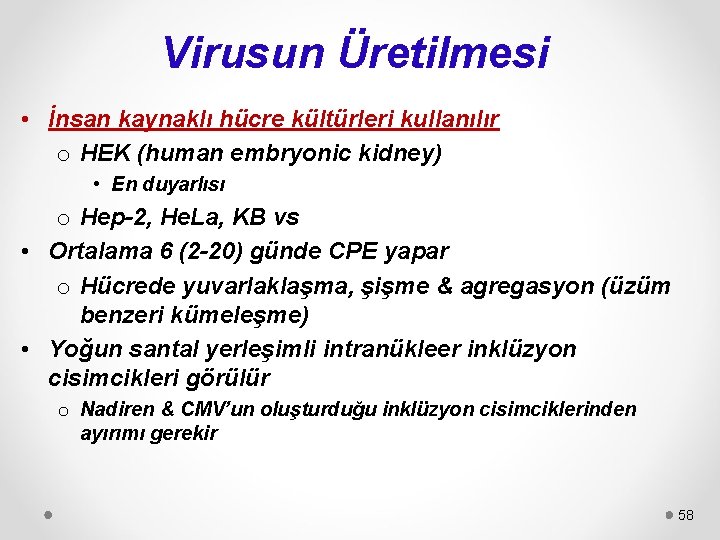 Virusun Üretilmesi • İnsan kaynaklı hücre kültürleri kullanılır o HEK (human embryonic kidney) •