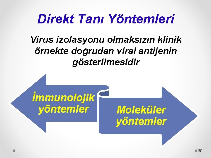 Direkt Tanı Yöntemleri Virus izolasyonu olmaksızın klinik örnekte doğrudan viral antijenin gösterilmesidir İmmunolojik yöntemler