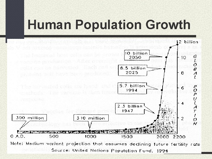 Human Population Growth 
