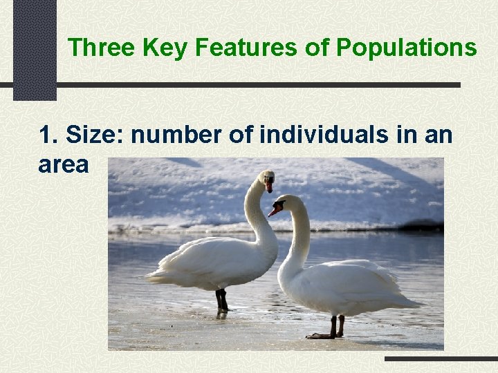 Three Key Features of Populations 1. Size: number of individuals in an area 