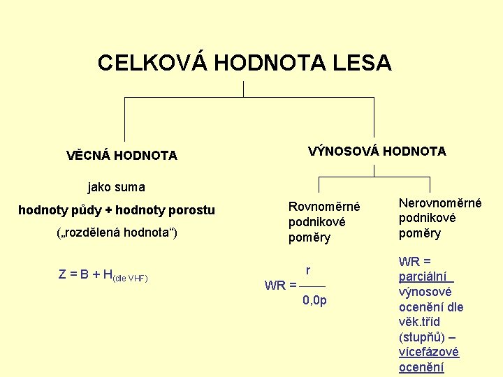 CELKOVÁ HODNOTA LESA VĚCNÁ HODNOTA VÝNOSOVÁ HODNOTA jako suma hodnoty půdy + hodnoty porostu