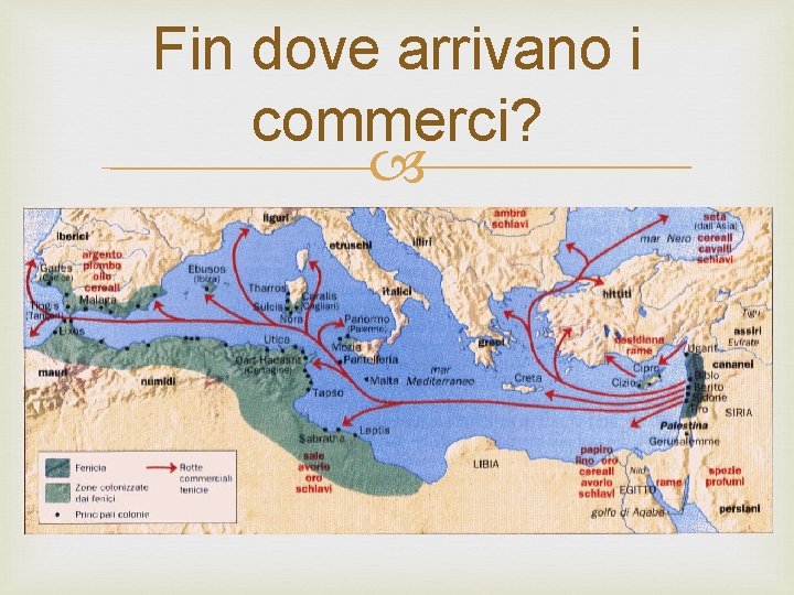 Fin dove arrivano i commerci? 