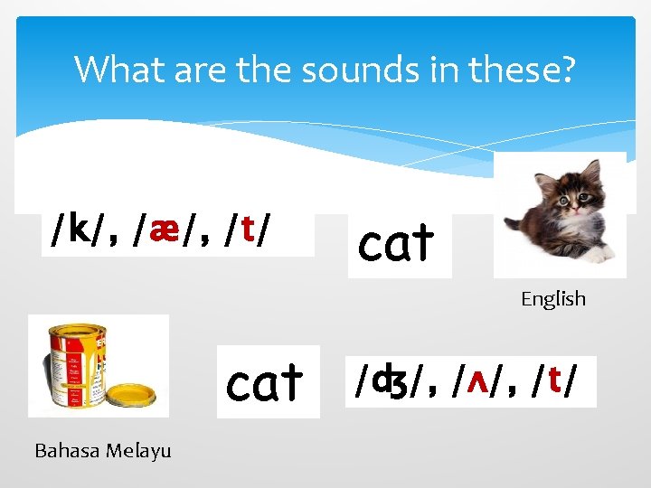 What are the sounds in these? /k/, /æ/, /t/ cat English cat Bahasa Melayu