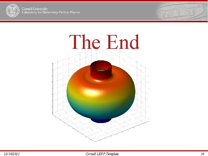 The End 12/16/2021 Cornell LEPP Template 14 