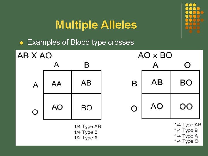 Multiple Alleles l Examples of Blood type crosses 