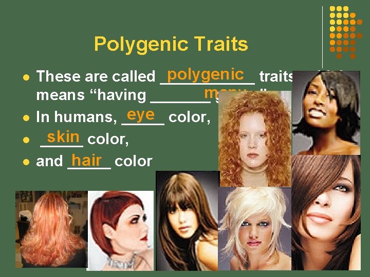 Polygenic Traits l l polygenic traits, which These are called ______ means “having _______many