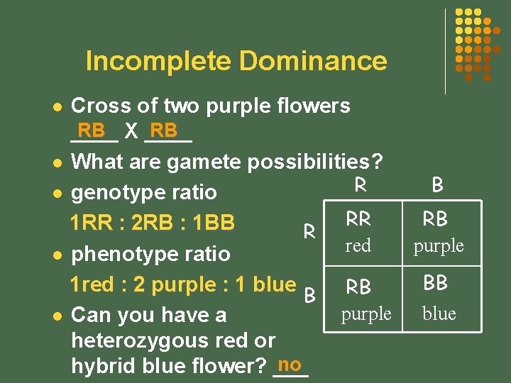 Incomplete Dominance Cross of two purple flowers RB X ____ RB ____ l What