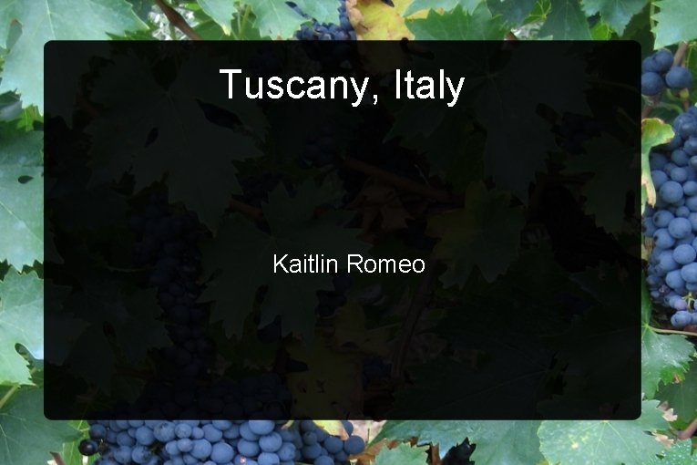 Tuscany, Italy Kaitlin Romeo 