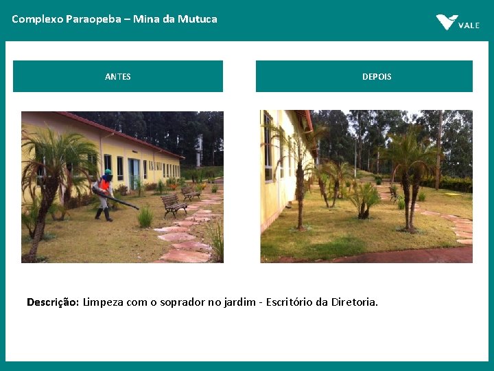 Complexo Paraopeba – Mina da Mutuca ANTES DEPOIS Descrição: Limpeza com o soprador no