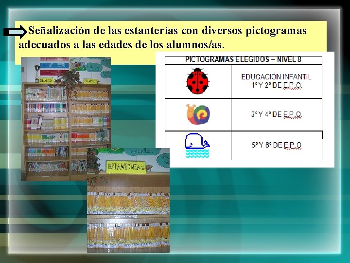 Señalización de las estanterías con diversos pictogramas adecuados a las edades de los alumnos/as.