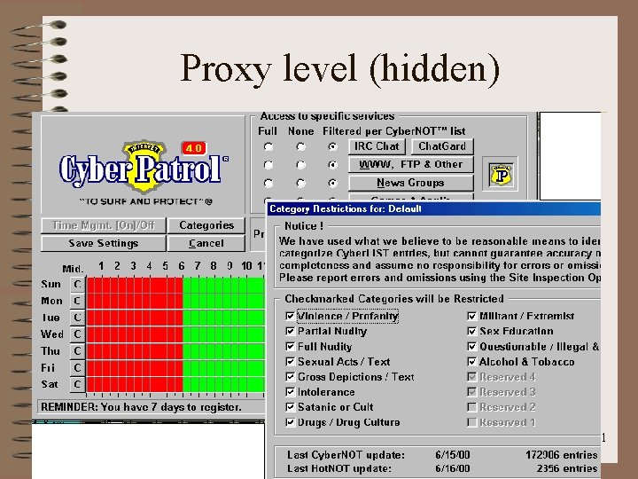 Proxy level (hidden) 41 